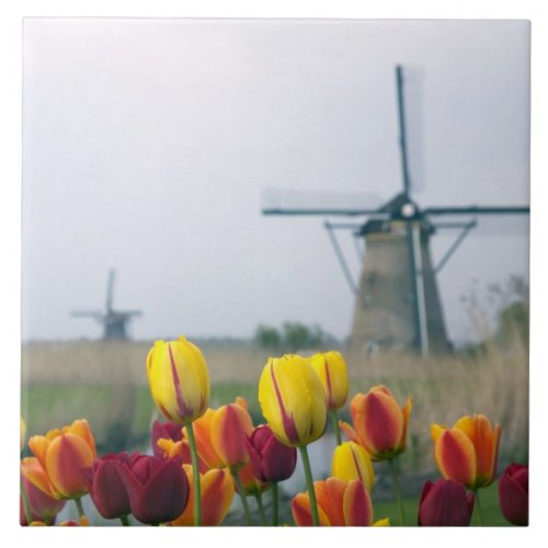 Windmills and tulips along the canal in ceramic tile