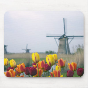 Windmills and tulips along the canal in mouse pad