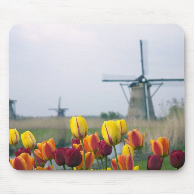 Windmills and tulips along the canal in mouse pad (Front)