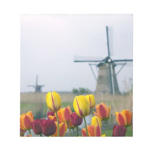 Windmills and tulips along the canal in notepad