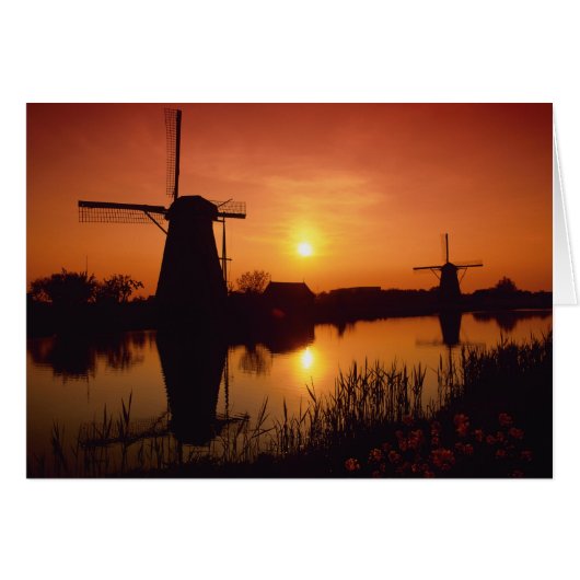 Windmills at sunset, Kinderdijk, Netherlands Cards (Front Horizontal)