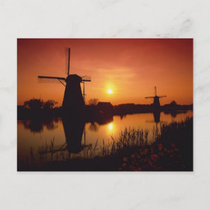 Windmills at sunset, Kinderdijk, Netherlands Postcard