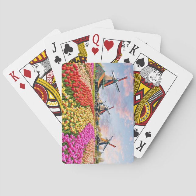 Windmills, Keukenhof, Netherlands Poker Cards (Back)