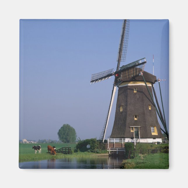 Windmills, Leidschendam, Netherlands Magnet (Front)