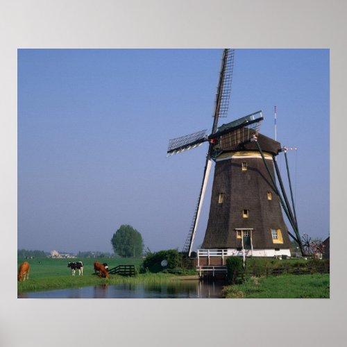Windmills Leidschendam Netherlands Poster