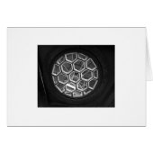 window (Front Horizontal)