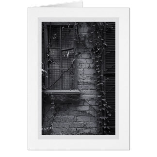 Window #23 cards