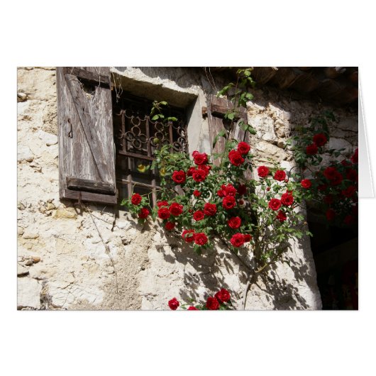Window and Roses Cards (Front Horizontal)