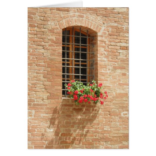 Window box cards (Front)