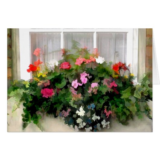 Window Box Flowers Cards (Front Horizontal)