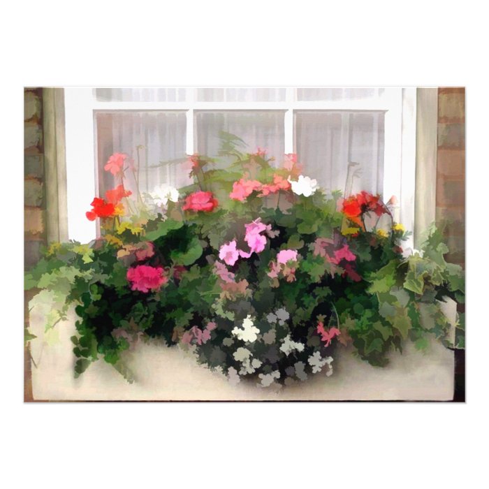 Window Box Flowers Invite