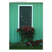 Window box of Impatients (Front)