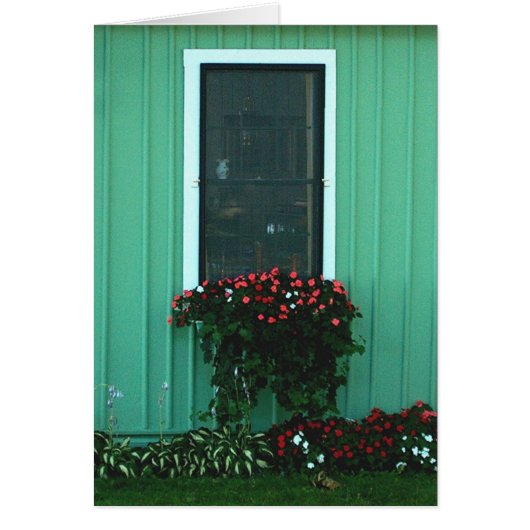 Window box of Impatients (Front)