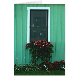 Window box of Impatients Cards