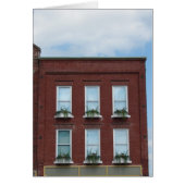 Window Boxes (Front)