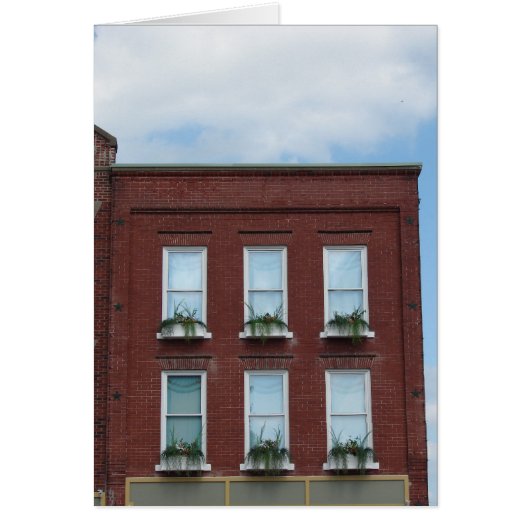 Window Boxes Cards (Front)