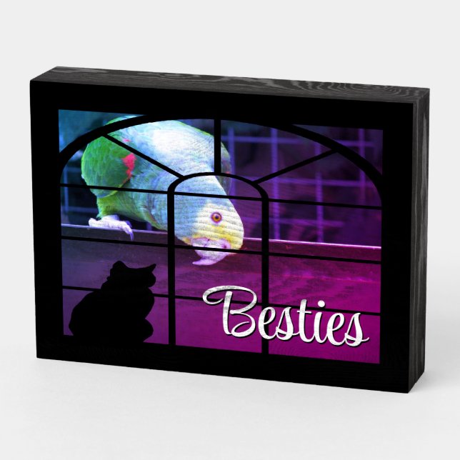 Window Cill Cat And Parrot Besties Wooden Box Sign (Angled Horizontal)