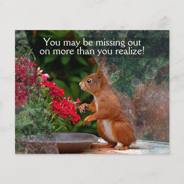 WINDOW CLEANING BUSINESS 4x5 Customizable PROMO Flyer (Front)