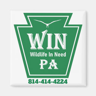Window Cling Magnet