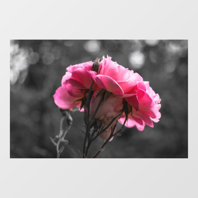 Window Cling - Pink Rose Eleganace (Sheet)