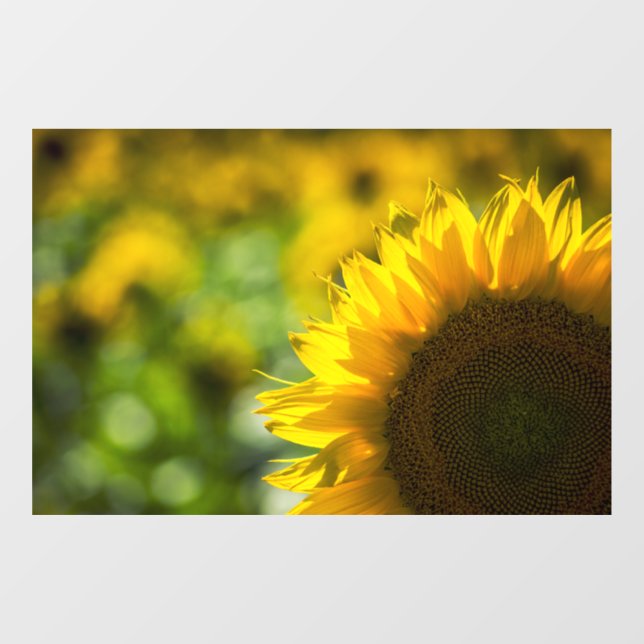 Window Cling - Sunflower Elegance (Sheet)