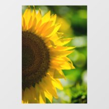Window Cling - Sunflower In The Field Photography
