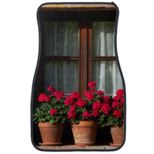 Window flower pots in village car mat