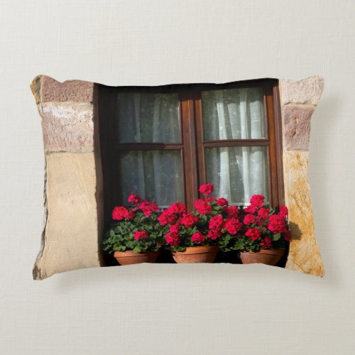 Window flower pots in village decorative pillow