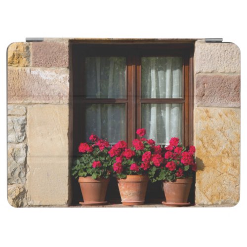 Window flower pots in village iPad air cover