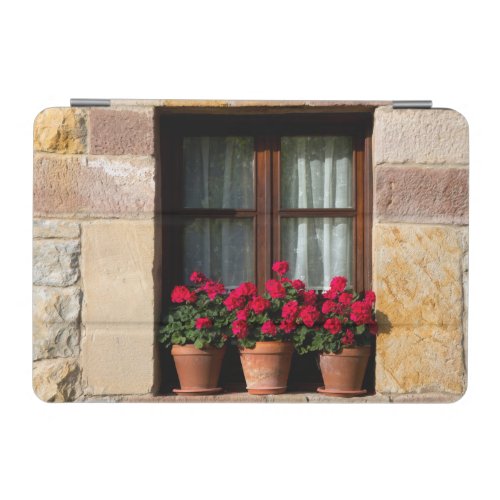 Window flower pots in village iPad mini cover