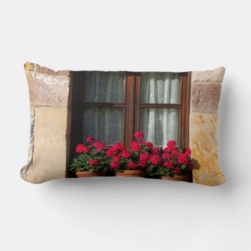 Window flower pots in village lumbar pillow