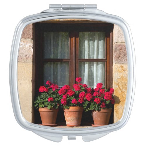 Window flower pots in village mirror for makeup