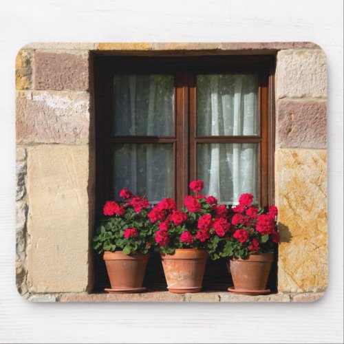 Window flower pots in village mouse pad