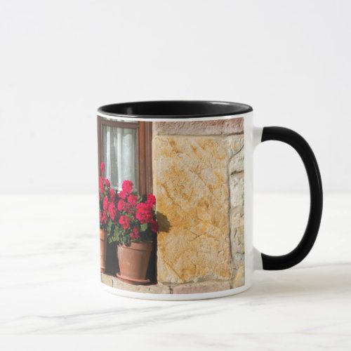 Window flower pots in village mug