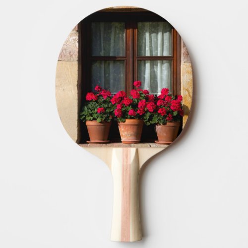 Window flower pots in village Ping_Pong paddle