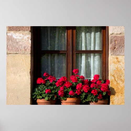 Window flower pots in village poster