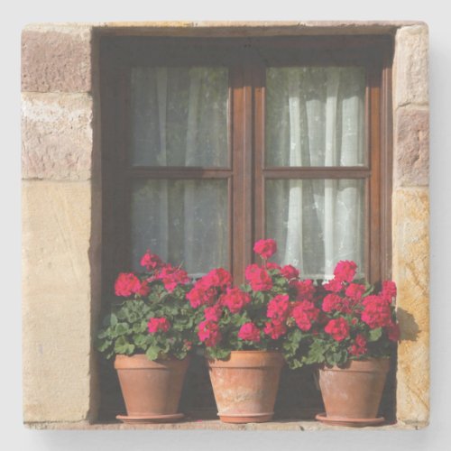 Window flower pots in village stone coaster