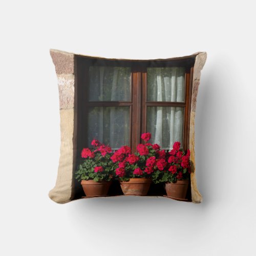 Window flower pots in village throw pillow