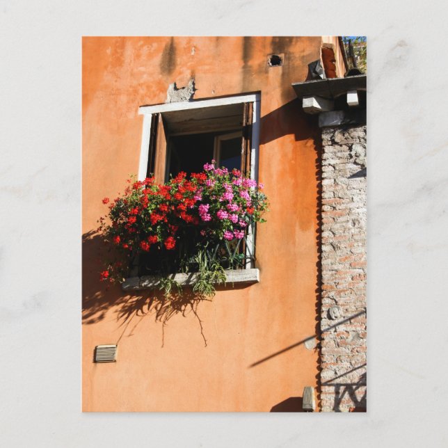 Window Flowers Postcard (Front)