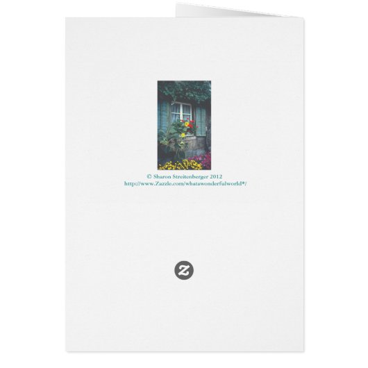 "Window, Flowers & Shutters" (Back)