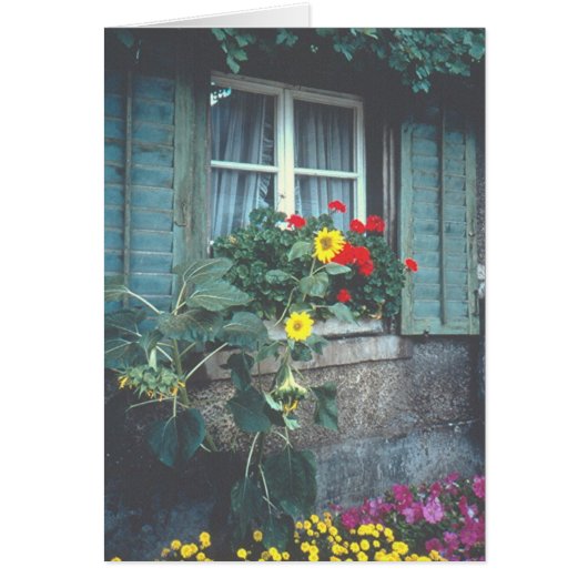 "Window, Flowers & Shutters" Cards (Front)