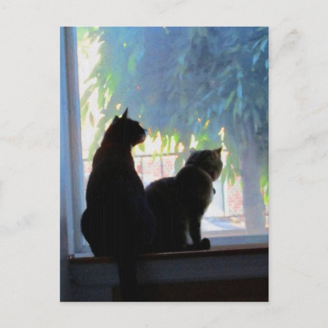 Window Gazing Kitties Postcard (Front)