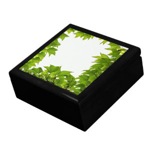 Window Gift Box
