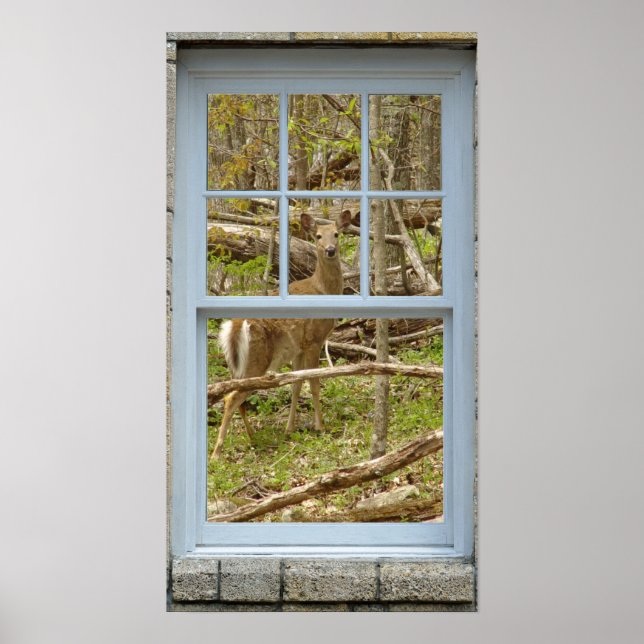 Window looking out Deer Doe Poster (Front)