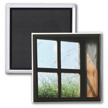 Window Magnet by Madddy at Zazzle