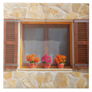 Window of a spanish Finca Ceramic Tile