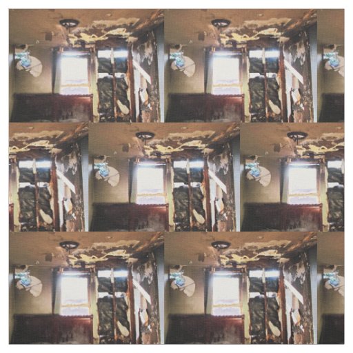 Window of Poverty Fabric