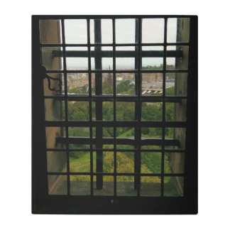 Window of the Cage Metal Print