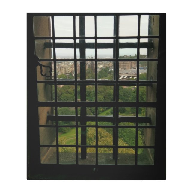 Window of the Cage Metal Print (Front)