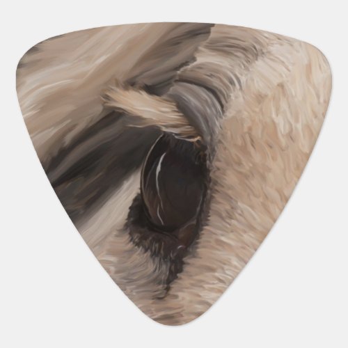 Window of the soul Guitar pick